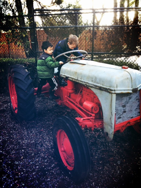 Maplewood Farm with kids review